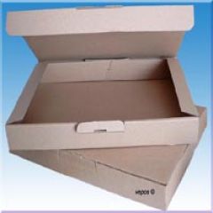 25 Maxibrief Karton 350 mm x 250 mm x 50 mm